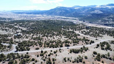 4402 Bear Creek Cir, South Fork, CO 81154 - photo 5