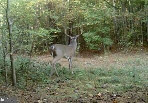 0 Leedstown Rd unit VAWE2006976, Colonial Beach, VA 22443 - photo 2