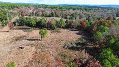 9943 Rough Branch Rd, Mulberry, AR 72947 - photo 4