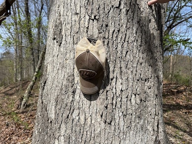 0 Chesterville Rd unit Lot WP001 23687476, Mineral Wells, WV 26150 - photo 6