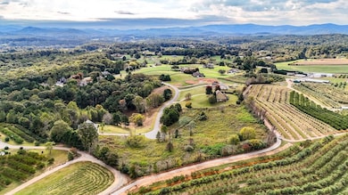 Lot 21 Ridgemont Ln, Ellijay, GA 30536 - photo 3