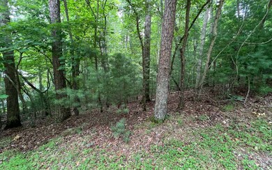 Additional View