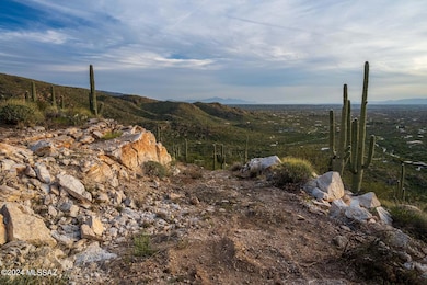 12979 E Cabeza de Vaca St unit Lot E, Tanque Verde, AZ 85749 - photo 6