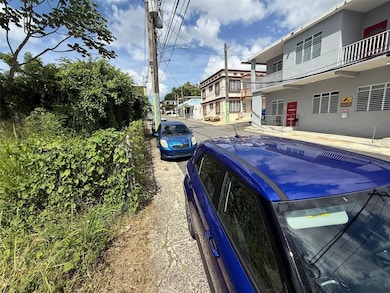 0 Hostos Cabrera St, San Sebastian, PR 00685 - photo 3
