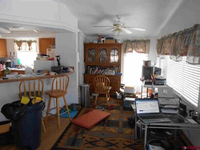 0 County Road 11 unit About a mile off Sta, Gunnison, CO 81230 - photo 6