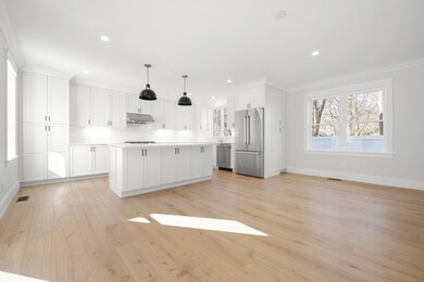 11 River St, Natick, MA 01760 - photo 4
