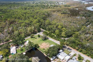 5981 Colony Cir, Weeki Wachee, FL 34607 - photo 7