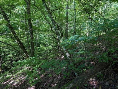 772 Naomi Ct, Ranger, GA 30734 - photo 7