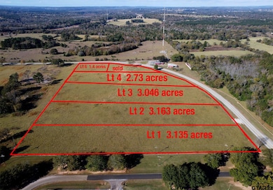 Lt 2 -TBD Fm 1892, Frankston, TX 75763 - photo 3