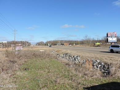 4875 Highway 305, Olive Branch, MS 38654 - photo 5