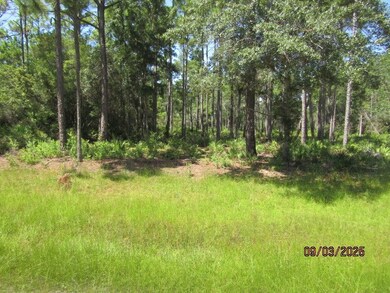 315 Gramercy Plantation Rd, Eastpoint, FL 32328 - photo 5