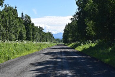 10674 Susitna River Rd, Trapper Creek, AK 99683 - photo 7