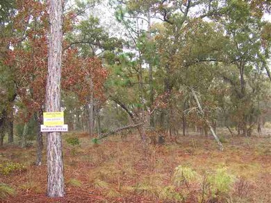 Lot 29 Breeze Dr 2nd unit 1, Perry, FL 32348 - photo 4