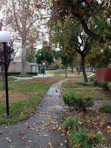 Beautiful trees and walk-ways for your morning wal
