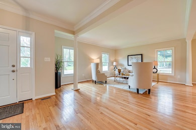 235 Locust St SE, Vienna, VA 22180 - photo 6