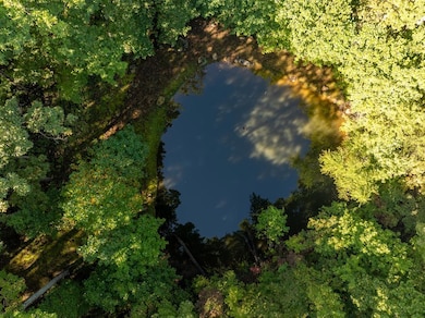 Lot 4 Wilderness Way, Ellijay, GA 30536 - photo 6