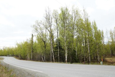 DSC00170 (2)