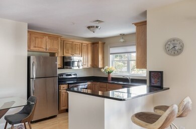 15 Summer St unit 209, Franklin, MA 02038 - photo 2