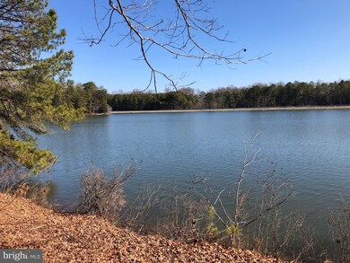 10 Merrimac Cove, Ruther Glen, VA 22546 - photo 6