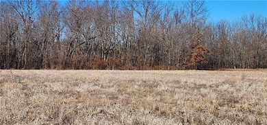 4803 NW Highway Dd, Urich, MO 64788 - photo 2