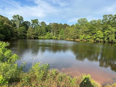 1139 Hwy 583 N, Tylertown, MS 39667 - photo 2