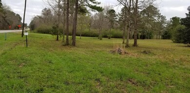 000 Georgia Highway 32, Dawson, GA 39842 - photo 4