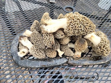 22847 74th St SW, Hinton, OK 73047 - photo 3