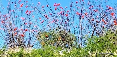 35700 S Cedar Creek Rd, Arivaca, AZ 85601 - photo 4