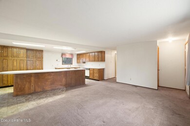 IMG_0958