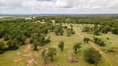 2500 Cool Jct, Millsap, TX 76066 - photo 6