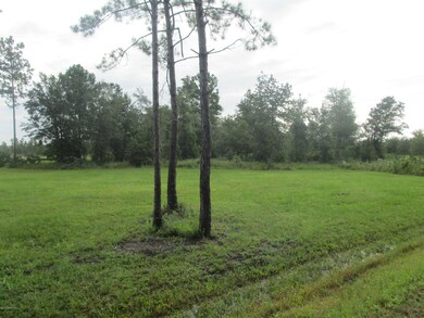 0 Sauls Rd unit 1012113, Callahan, FL 32011 - photo 3