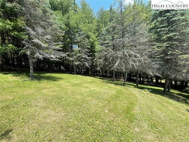 Beautiful yard.