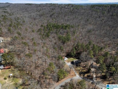 0 Oak Ridge Dr unit 21431508, Oneonta, AL 35121 - photo 6