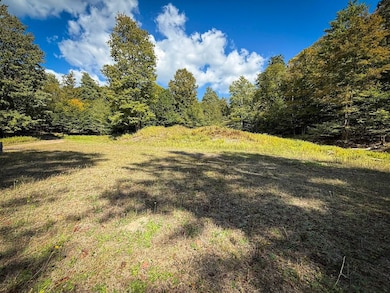 0 Tamblin Ridge Trl Lot unit WP001, Constantia, NY 13028 - photo 6