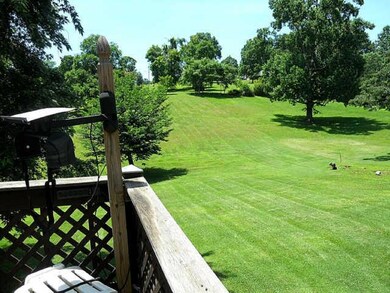 View from back deck of the emerald back yard.