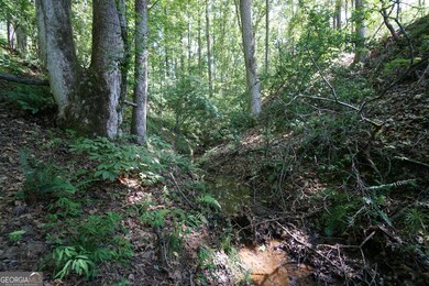 0 Springdale Dr unit 10647918, Palmetto, GA 30268 - photo 4