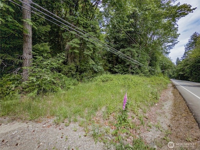 0 Highway 101 unit NWM2392594, Brinnon, WA 98320 - photo 5