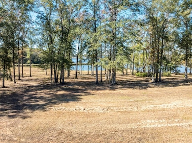 0 Carolina Dr Lot 12, Bullard, TX 75757 - photo 5
