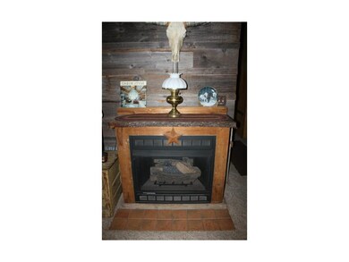 Fireplace in living room