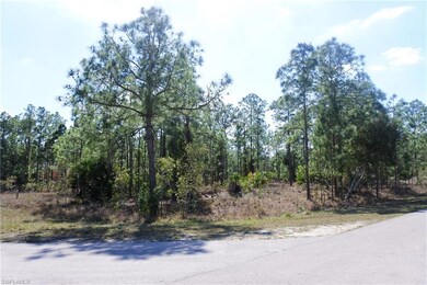 828 Oakridge Ave S, Lehigh Acres, FL 33974 - photo 2