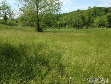 136 Bridges Family Dr, Asheville, NC 28806 - photo 7