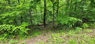 0 Poplar Place unit RTC2897213, Smithville, TN 37166 - photo 3