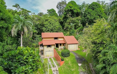 Surrounded by nature