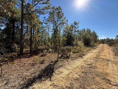 00 Monroe, Dunnellon, FL 34431 - photo 3