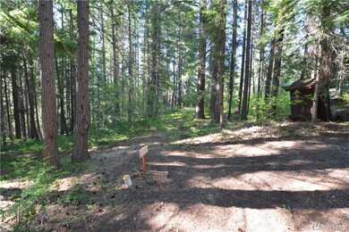 0 Bunker Rd, Ronald, WA 98922 - photo 4