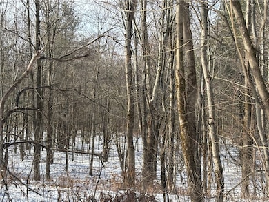 0 Smokey Ave unit R1652919, Westford, NY 12155 - photo 5