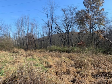 12166 Ohio 93, Logan, OH 43138 - photo 5