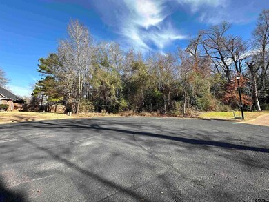 603 Steeple Ct, Tyler, TX 75703 - photo 3