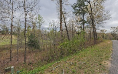 Additional View