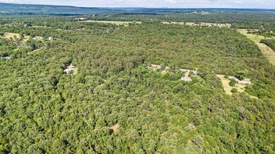 14.53 ac+/ Lower Pine Hill Rd, Russellville, AR 72802 - photo 4